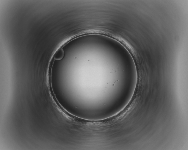 X0000116660902200912141318