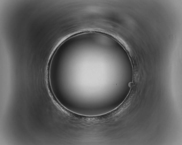 X0000116660903200912141318