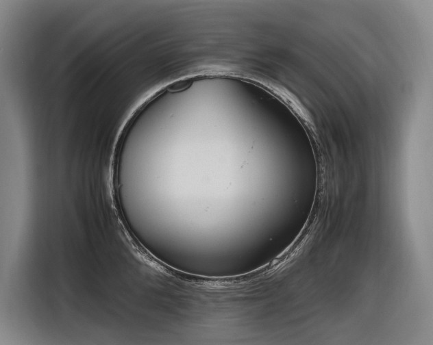 X0000116660904200912141318