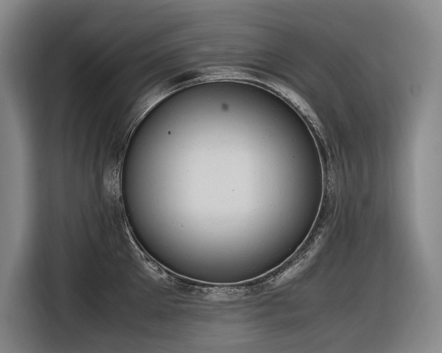 X0000116660905200912141318