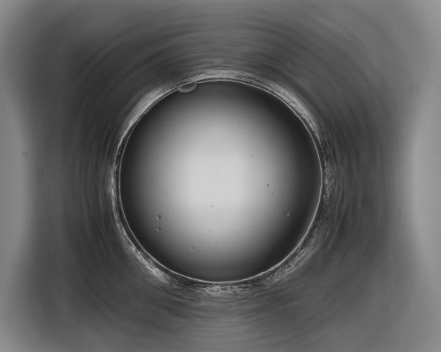 X0000116660906200912141318