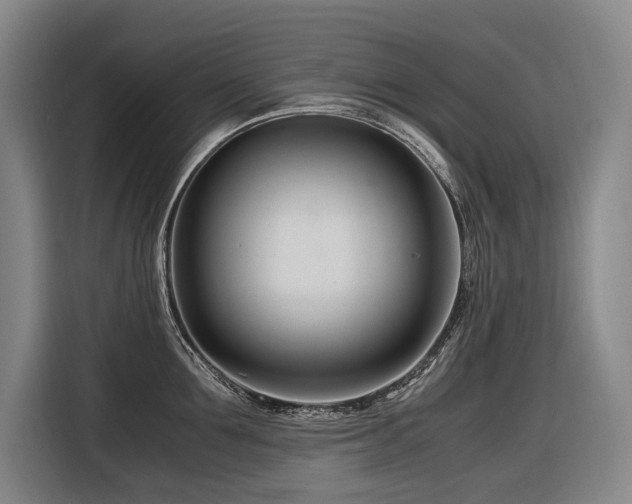 X0000116660907200912141318