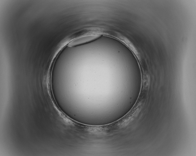 X0000116660909200912141318