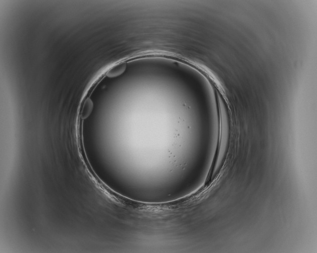 X0000116660910200912141318