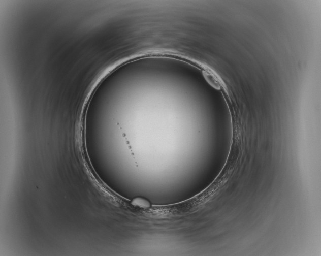 X0000116660911200912141318