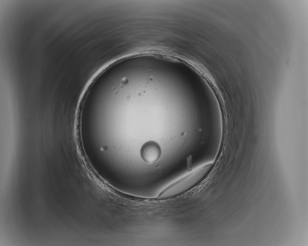 X0000116660912200912141318