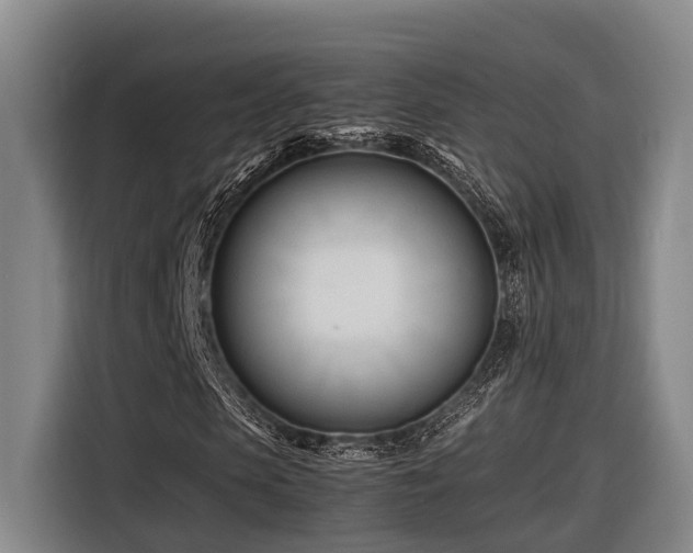 X0000116660913200912141317