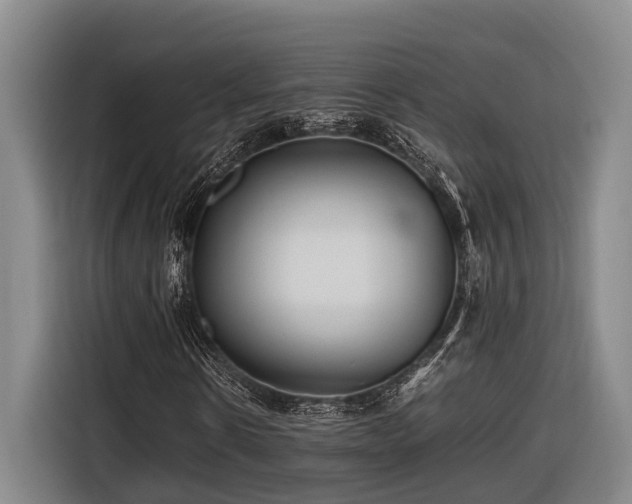 X0000116660914200912141317