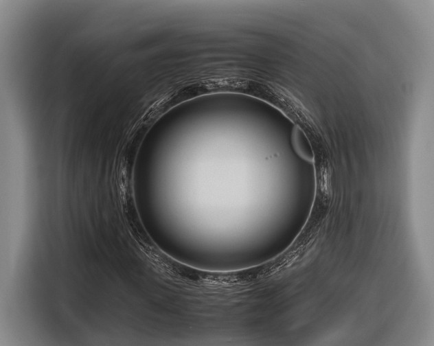 X0000116660915200912141317