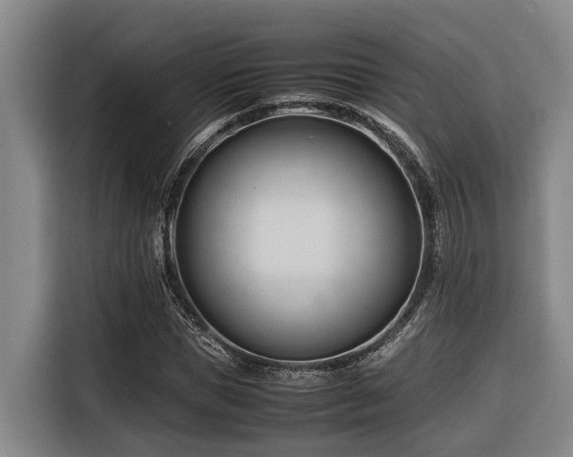 X0000116660921200912141317