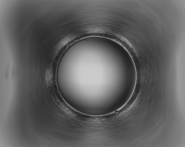 X0000116660922200912141317