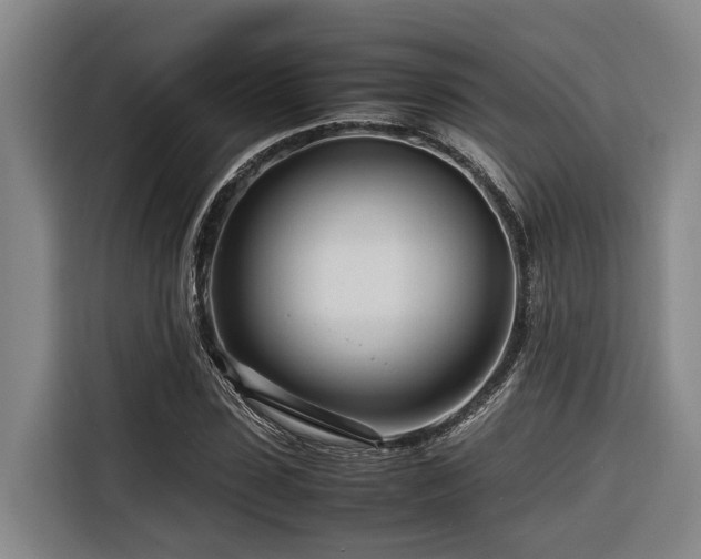 X0000116660923200912141317