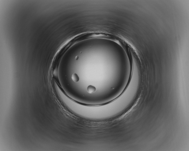 X0000116660925200912141317