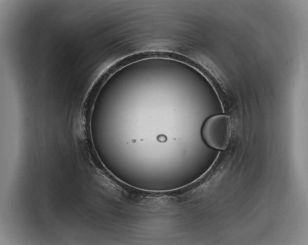 X0000116660926200912141317