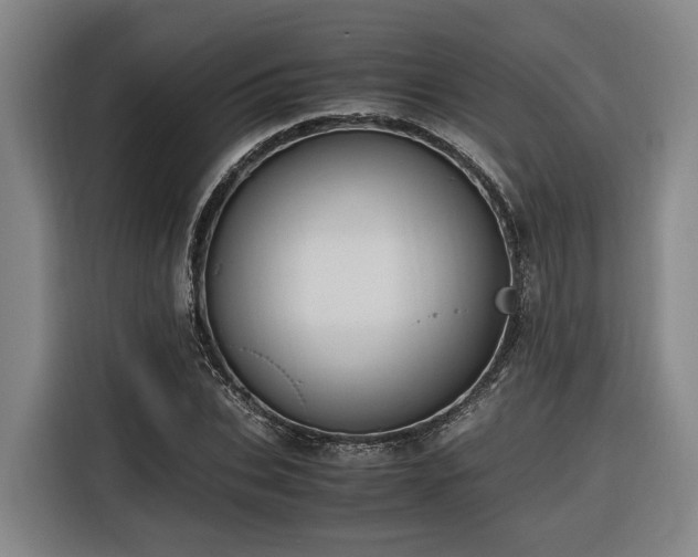 X0000116660927200912141317