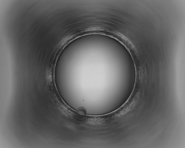 X0000116660929200912141317