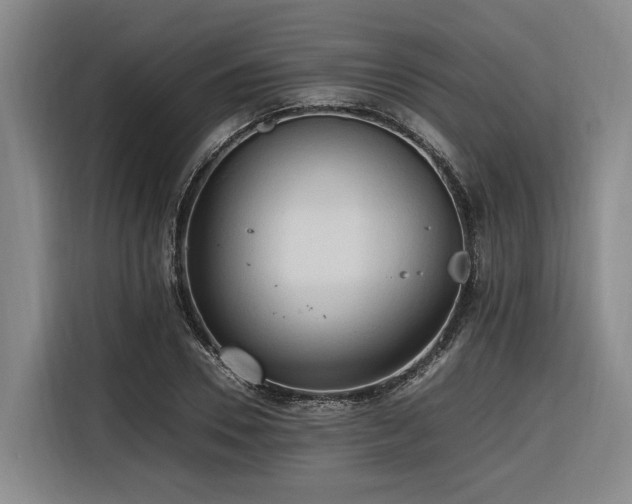 X0000116660930200912141317