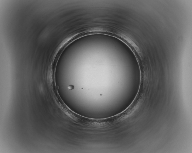 X0000116660933200912141317