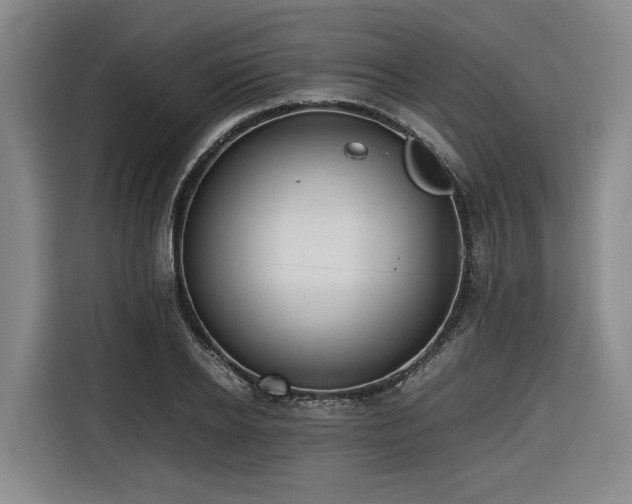 X0000116660934200912141317