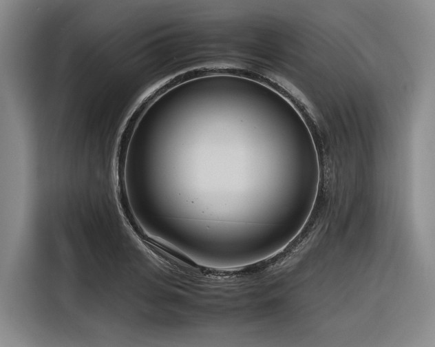 X0000116660935200912141317