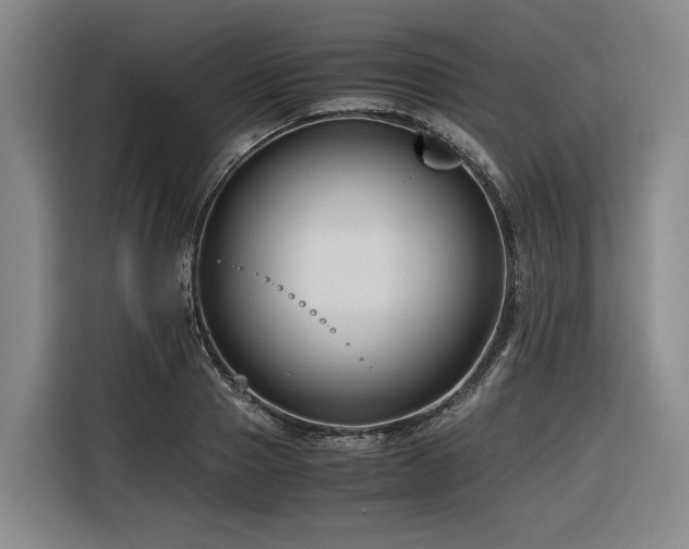 X0000116660937200912141318