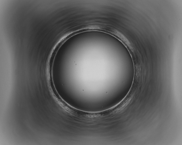 X0000116660939200912141318