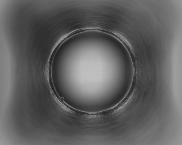 X0000116660941200912141318