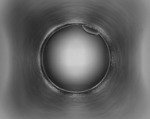 X0000116660942200912141318