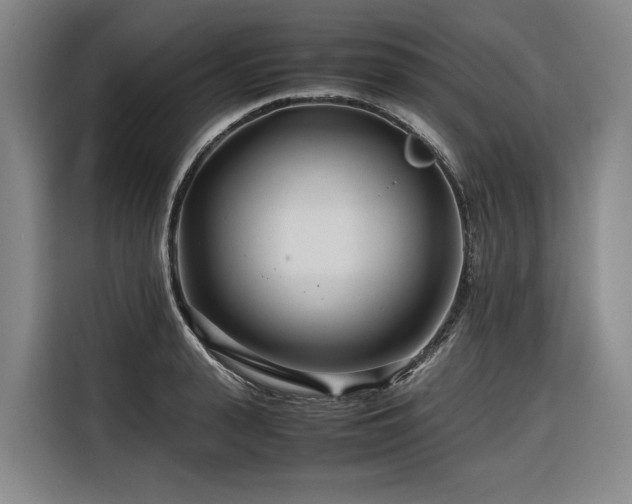 X0000116660943200912141318