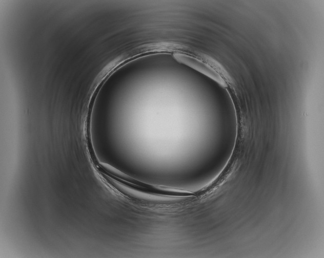 X0000116660946200912141318