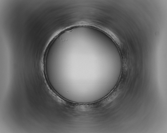 X0000116660950200912141318