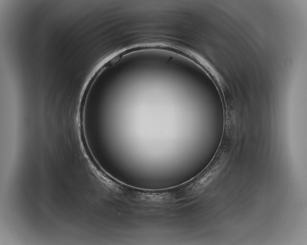 X0000116660951200912141318