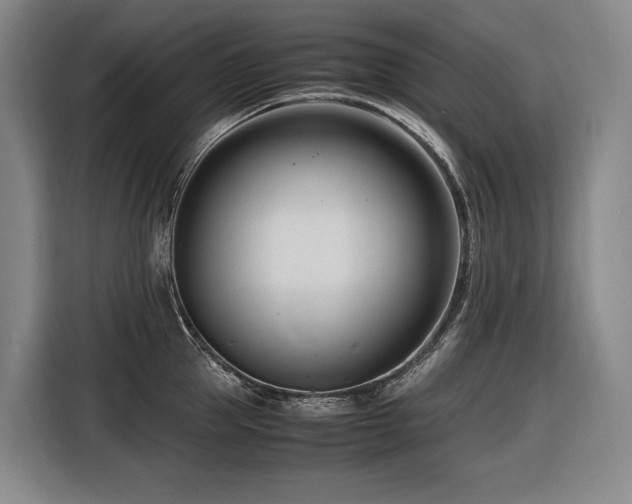 X0000116660953200912141318