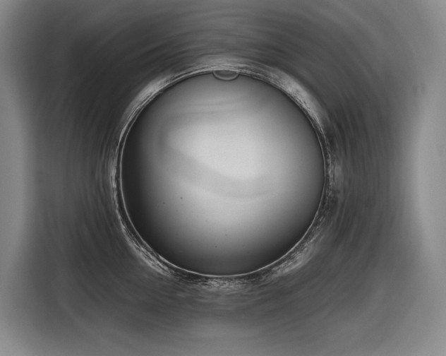 X0000116660954200912141318