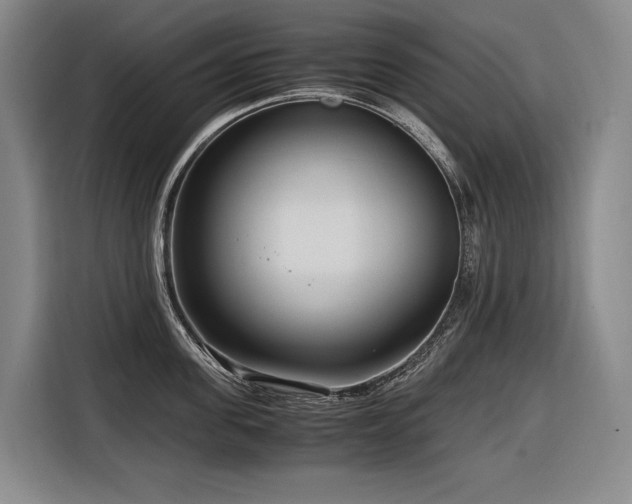 X0000116660955200912141318