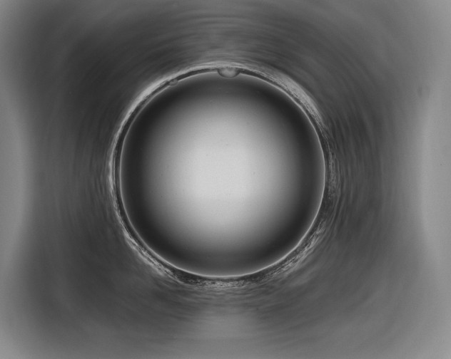 X0000116660958200912141318