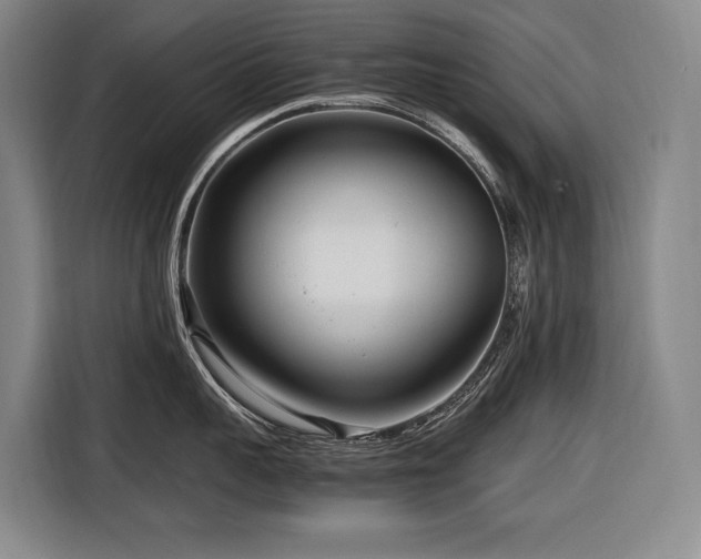 X0000116660959200912141318