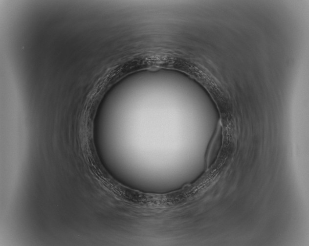 X0000116660961200912141317