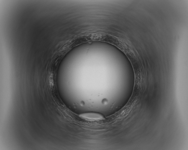 X0000116660962200912141317