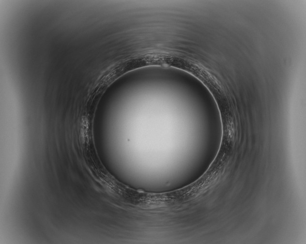 X0000116660964200912141317