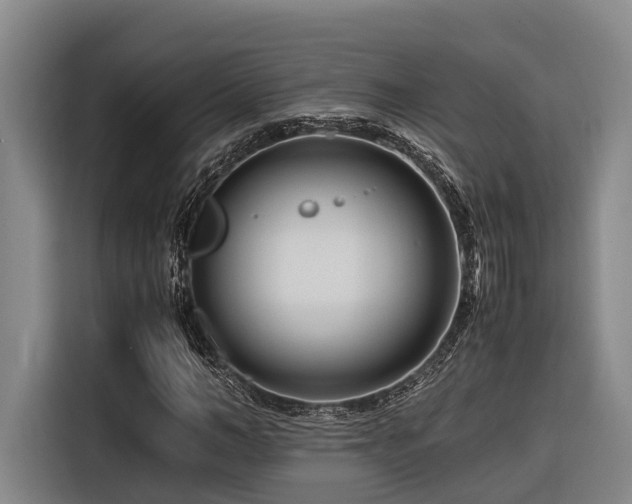 X0000116660966200912141317