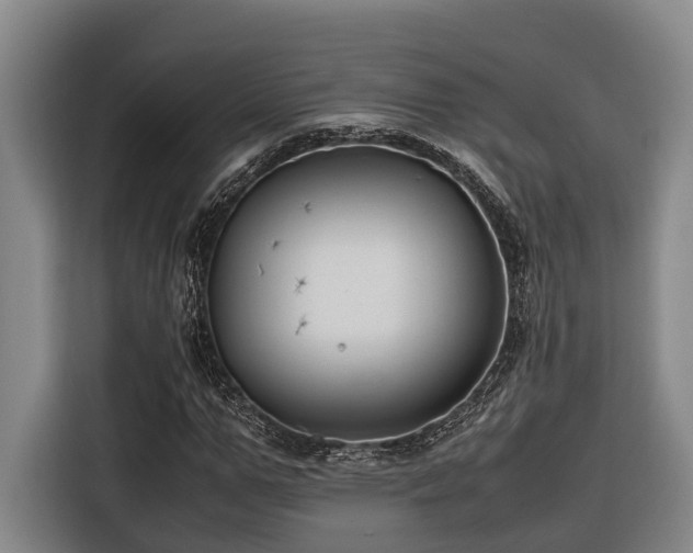 X0000116660967200912141317