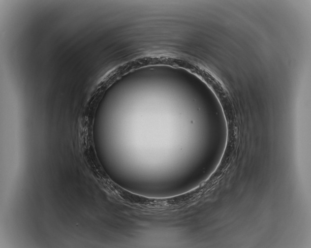 X0000116660968200912141317