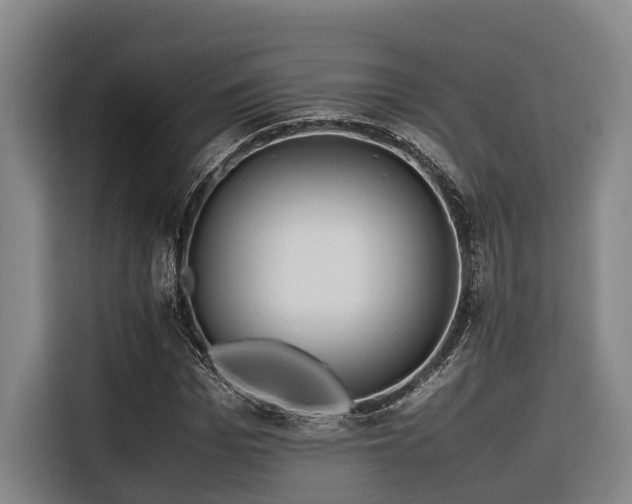 X0000116660969200912141317