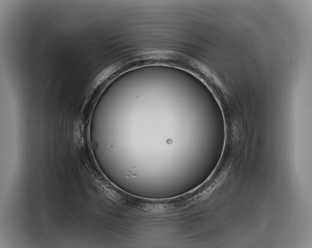 X0000116660970200912141317