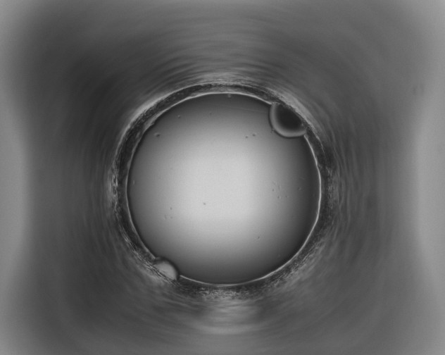 X0000116660971200912141317