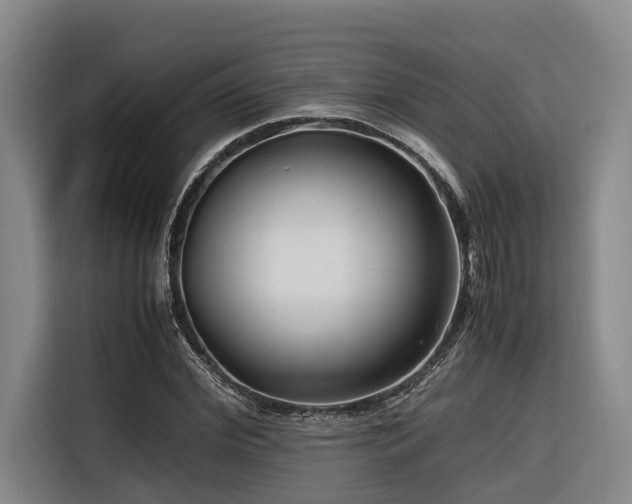 X0000116660972200912141317