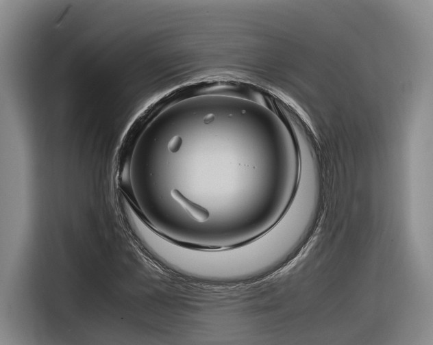 X0000116660973200912141317