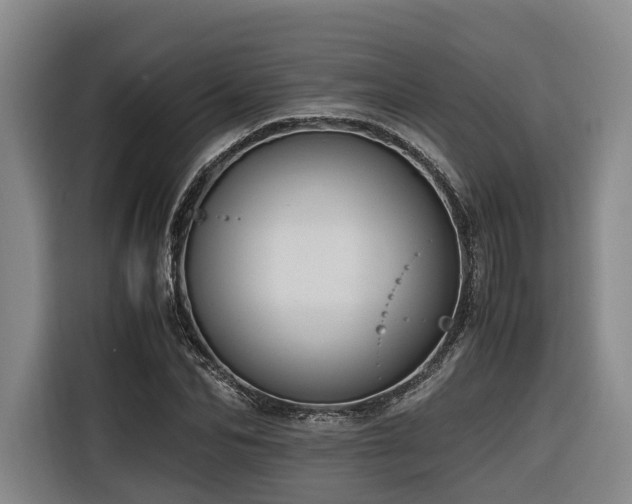 X0000116660974200912141317