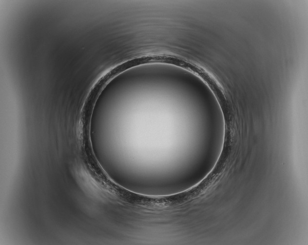 X0000116660975200912141317